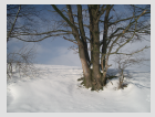 Winter am Skihang