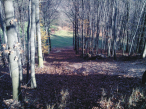 Großes Bild