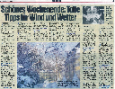 Artikel lesen