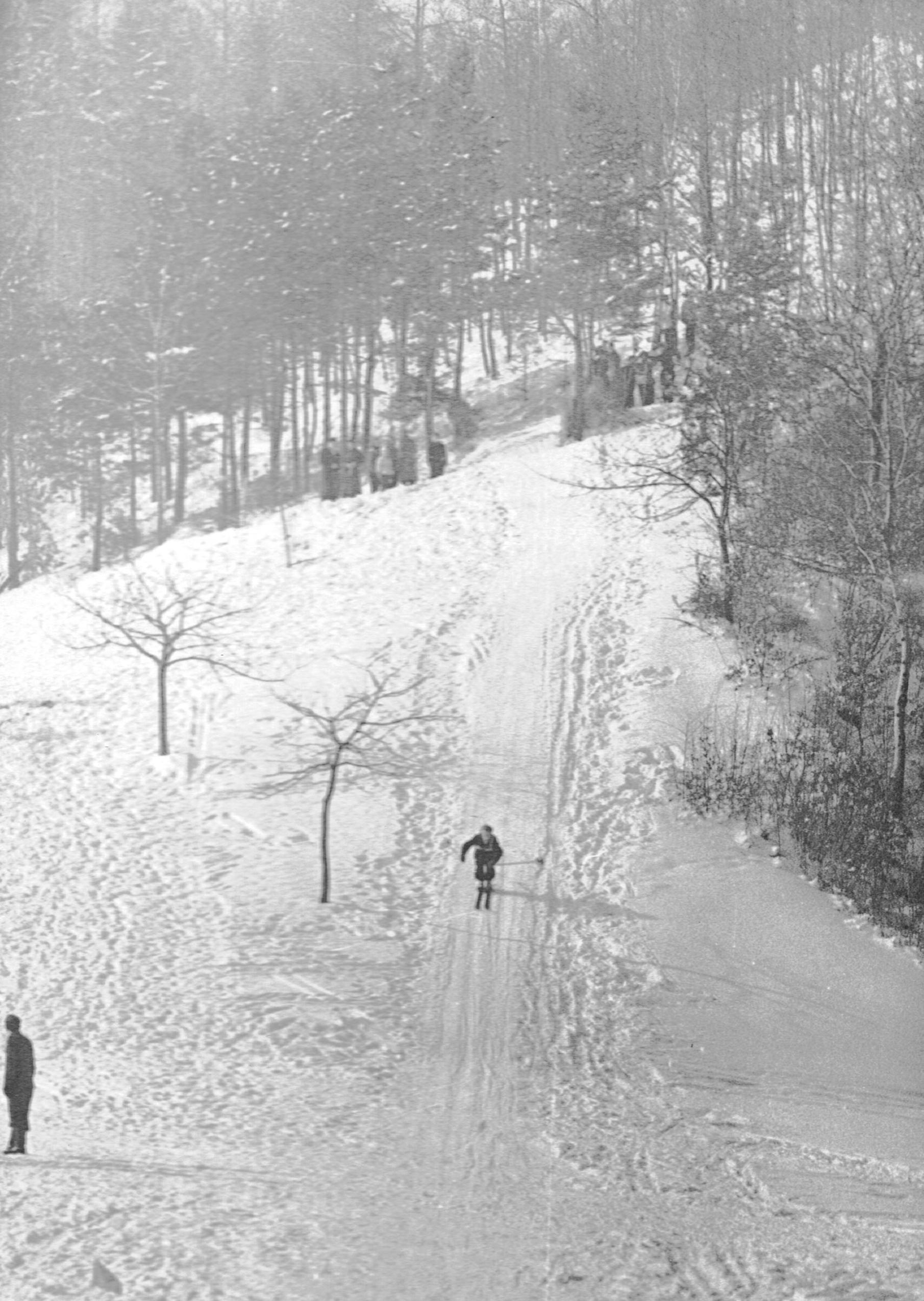 Kreiswintersportmeisterschaften