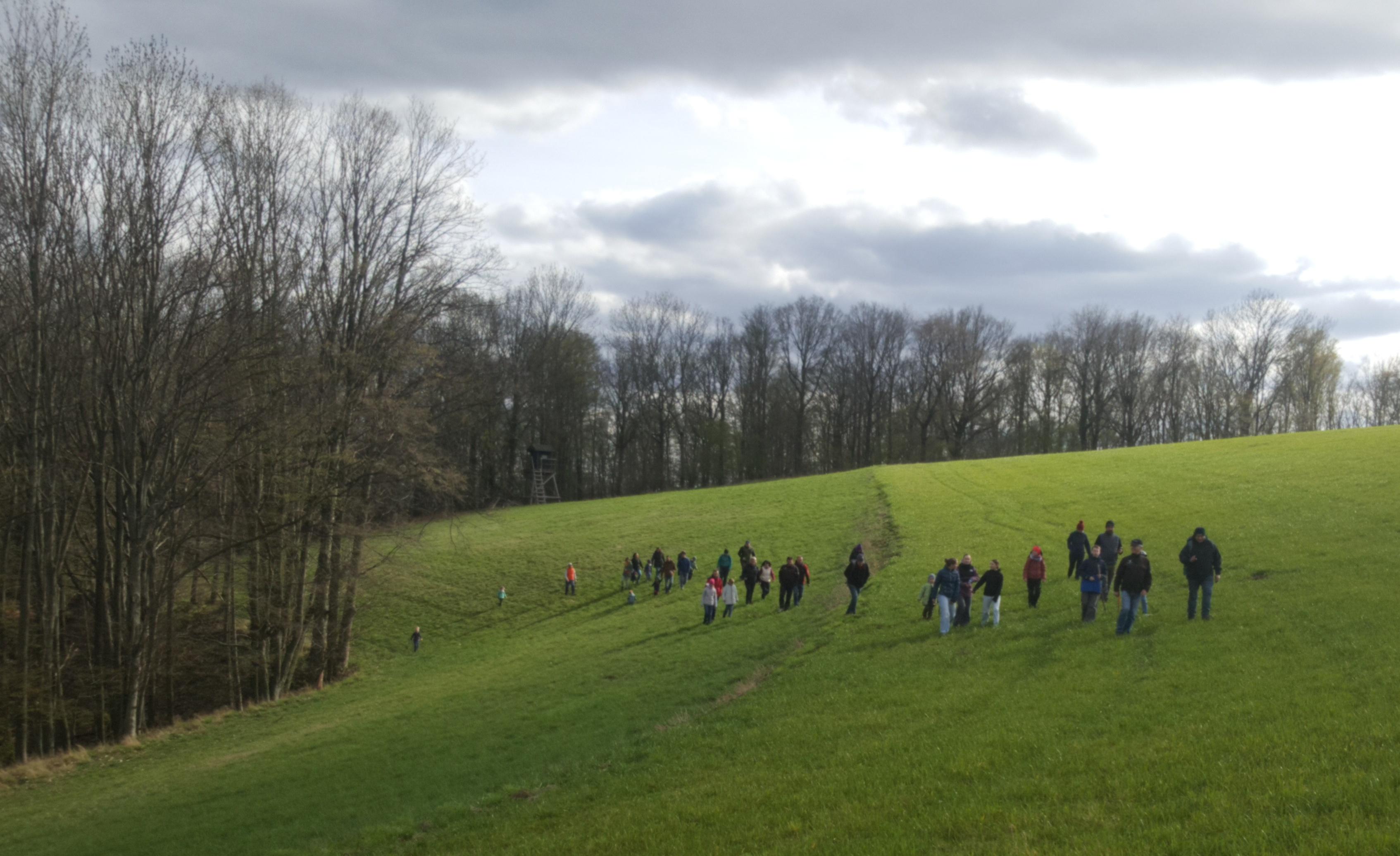 Leute auf einer grünen Wiese